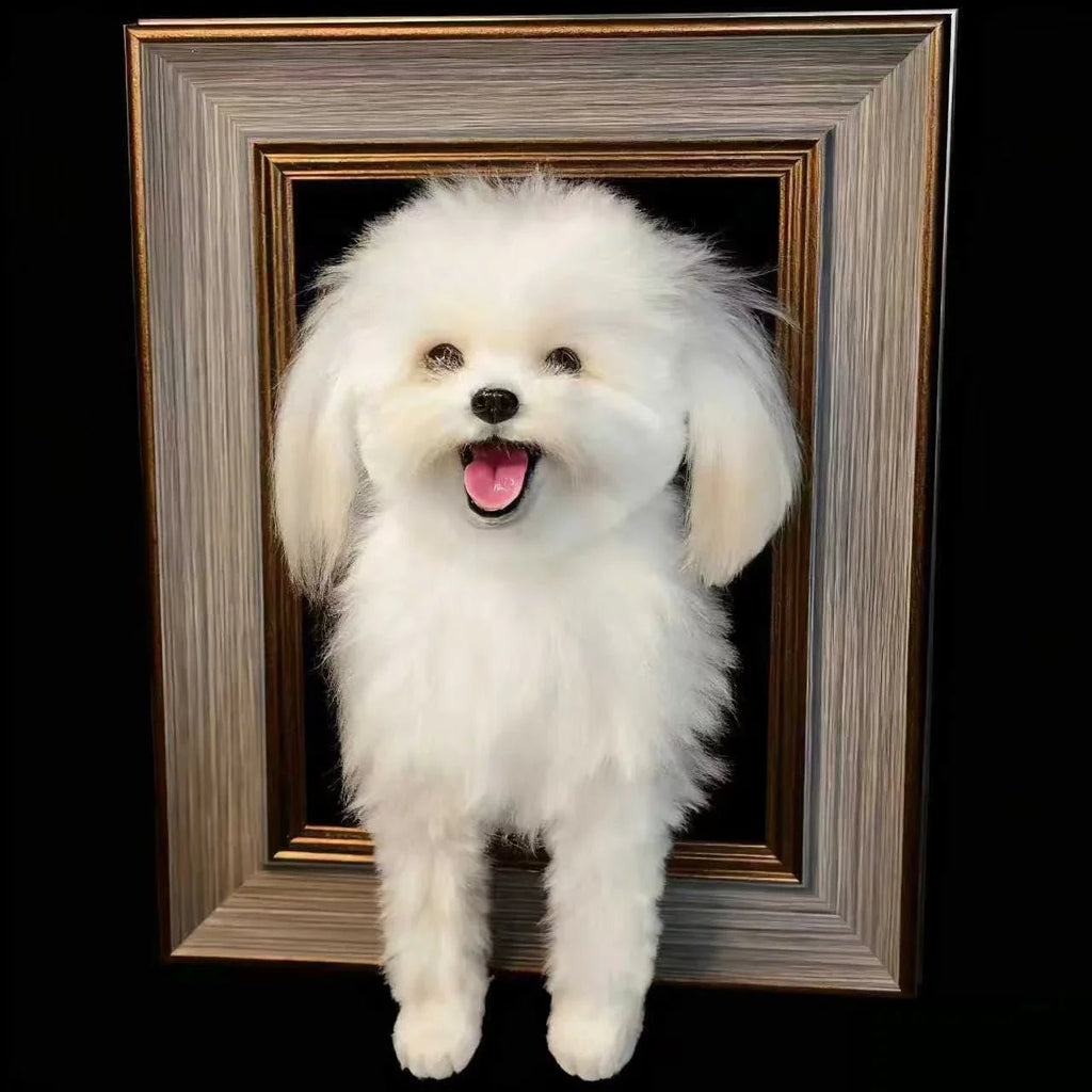 3D pet photo frame with paw prints - Frameza Artworks