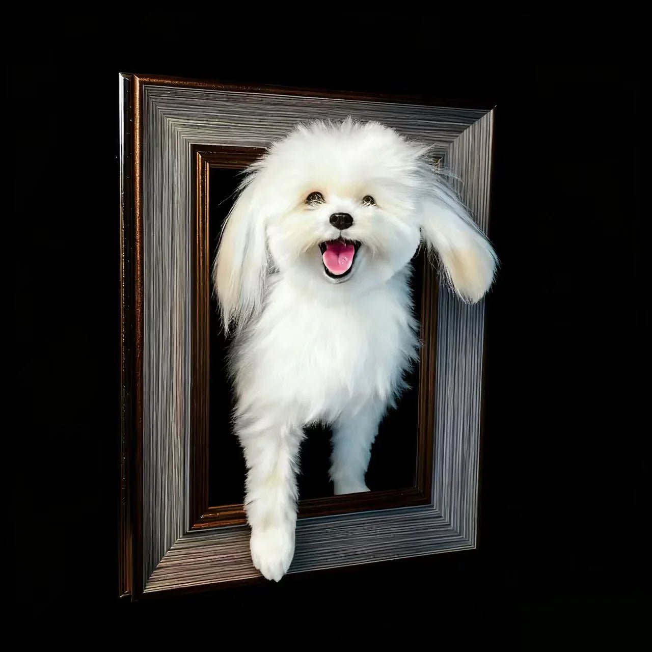 3D pet photo frame with paw prints - Frameza Artworks