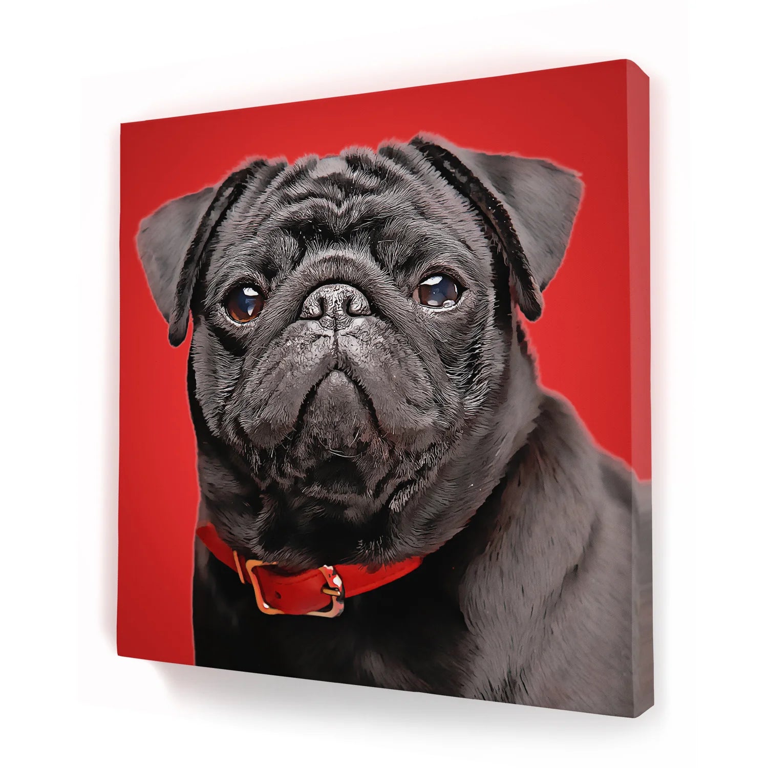 Customized Pet Picture Frames