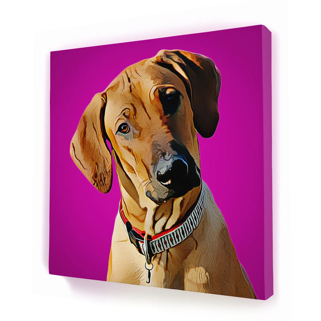 Customized Pet Picture Frames