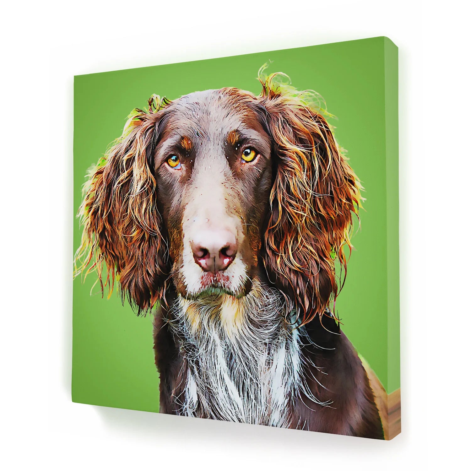 Customized Pet Picture Frames