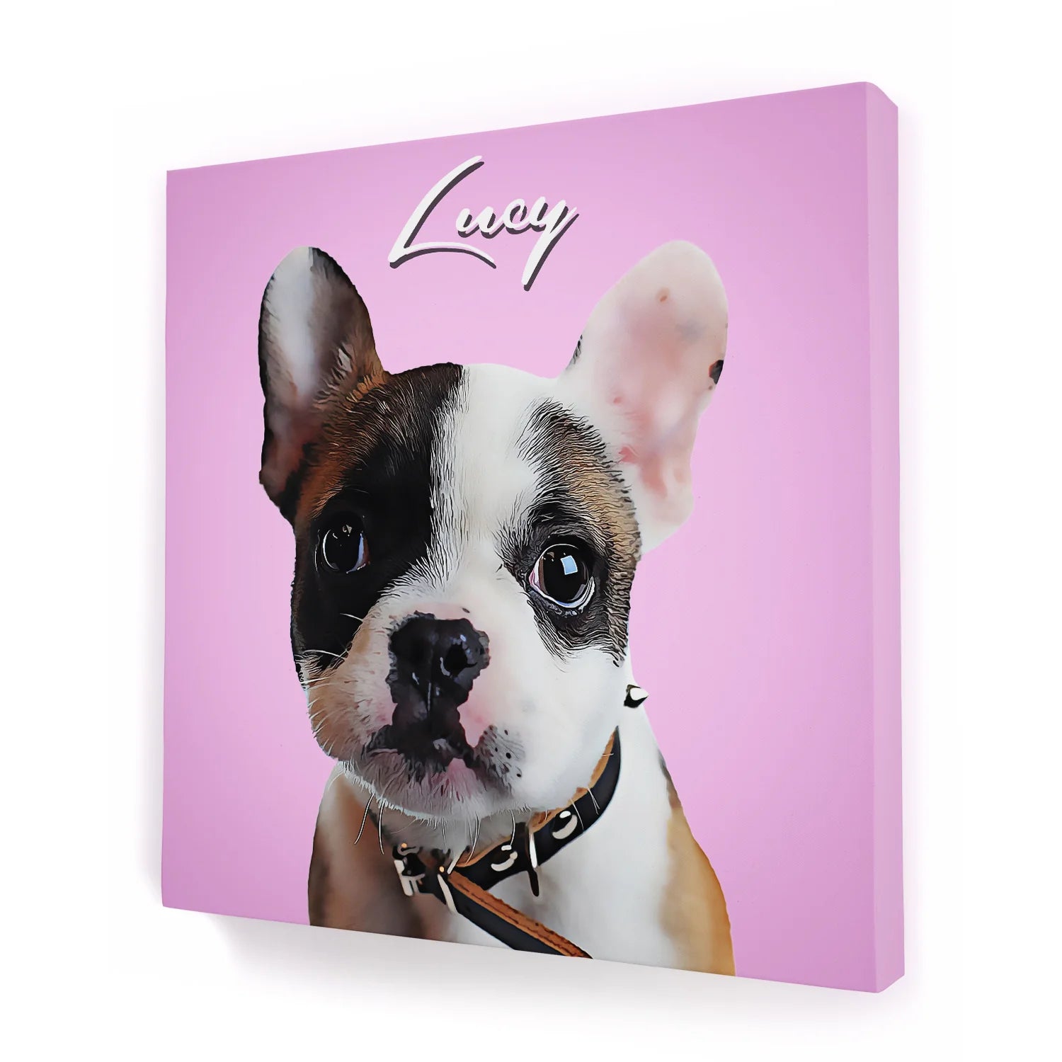 Customized Pet Picture Frames