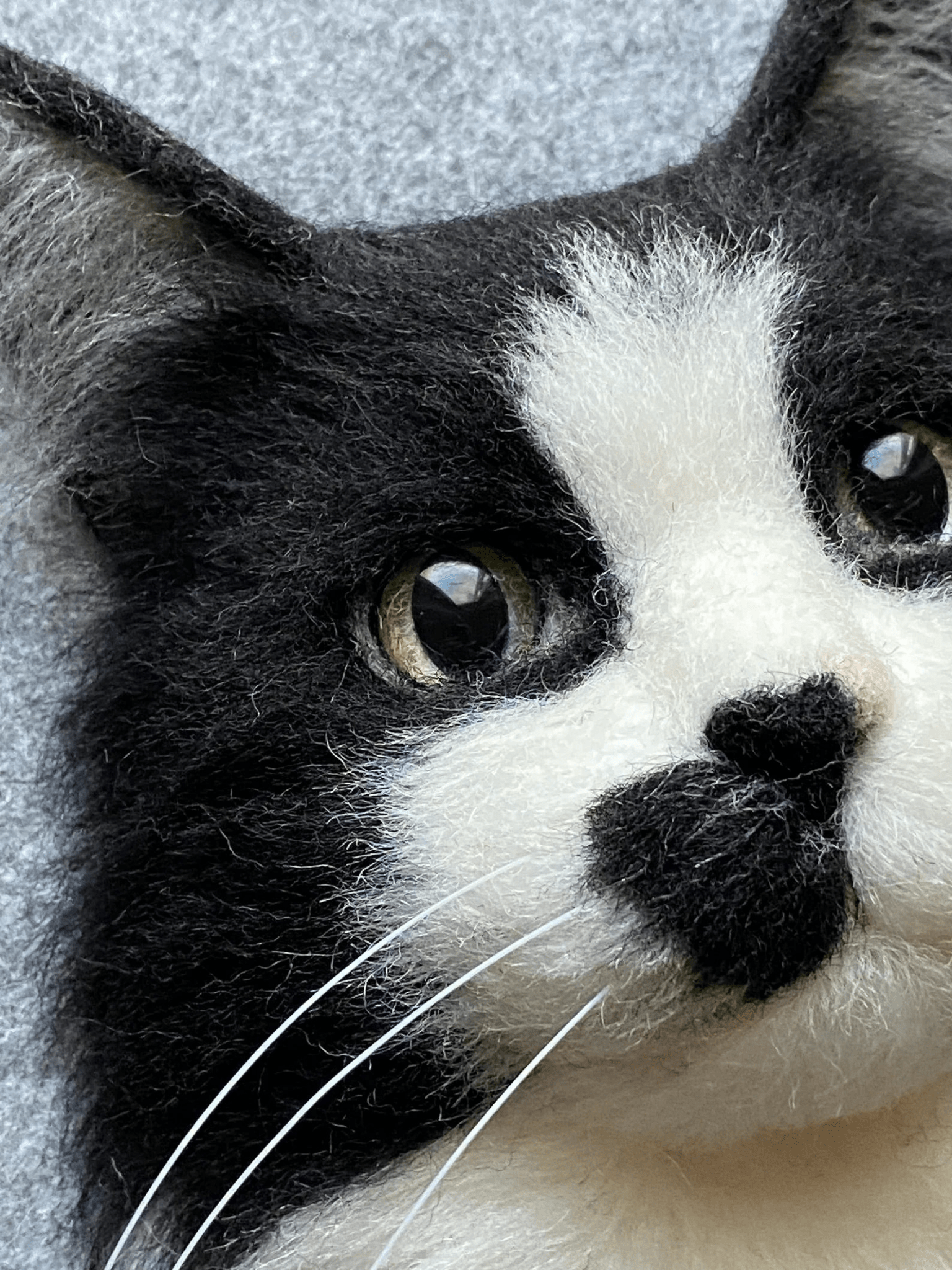 Framed 3D Pet Memorial Artwork - Frameza Artworks