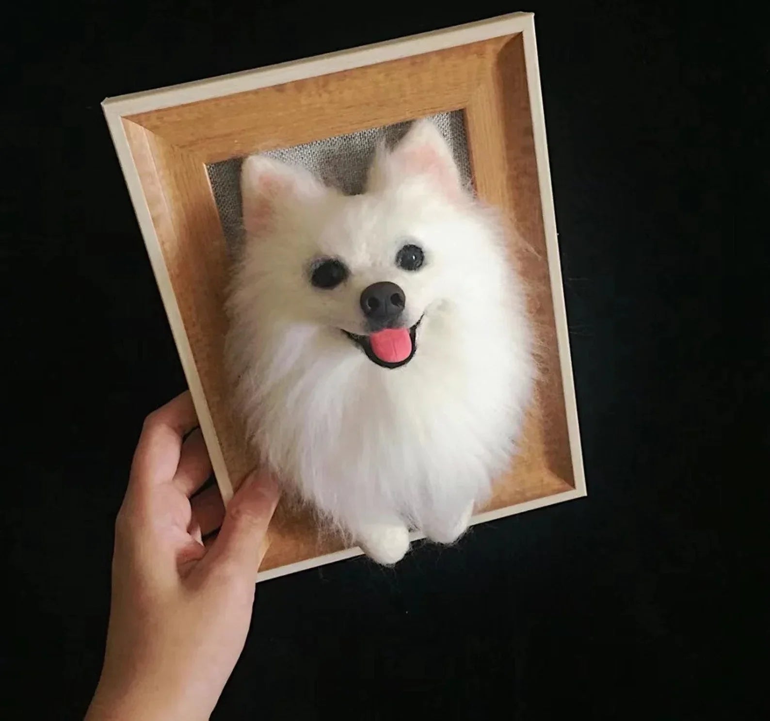 Halloween, Thanksgiving, Christmas 3D Felted Wool Pet Portraits - Frameza Artworks