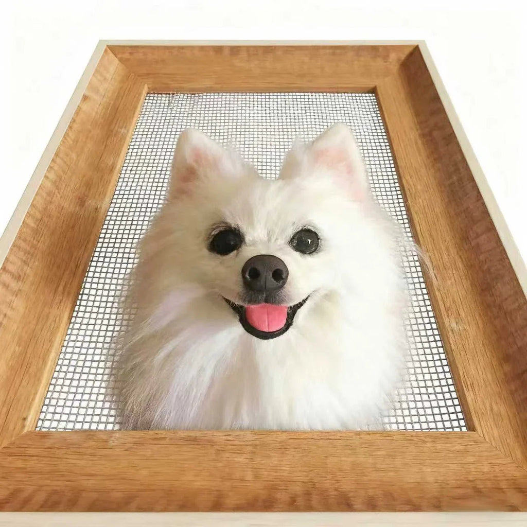 Halloween, Thanksgiving, Christmas 3D Felted Wool Pet Portraits - Frameza Artworks