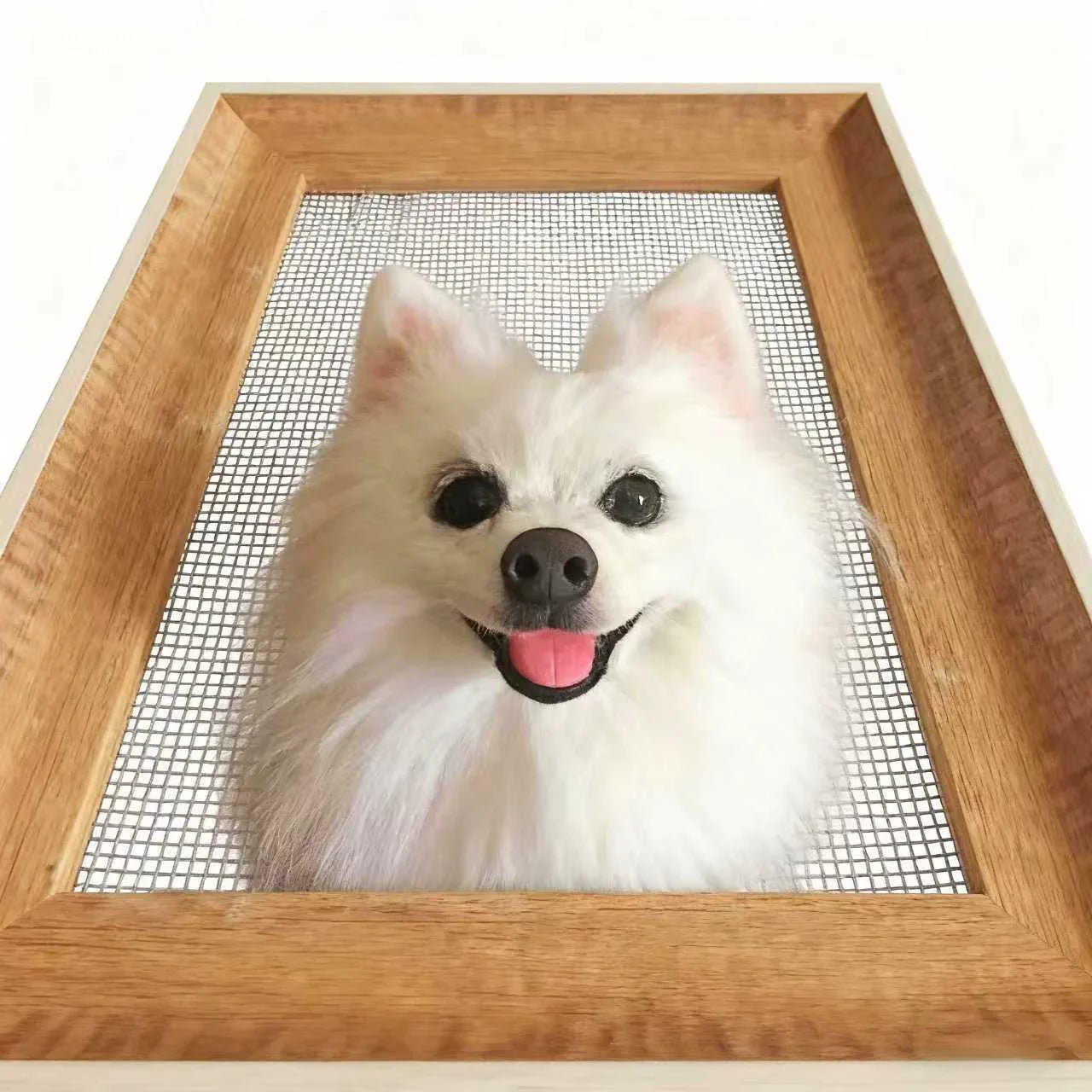 Halloween, Thanksgiving, Christmas 3D Felted Wool Pet Portraits - Frameza Artworks