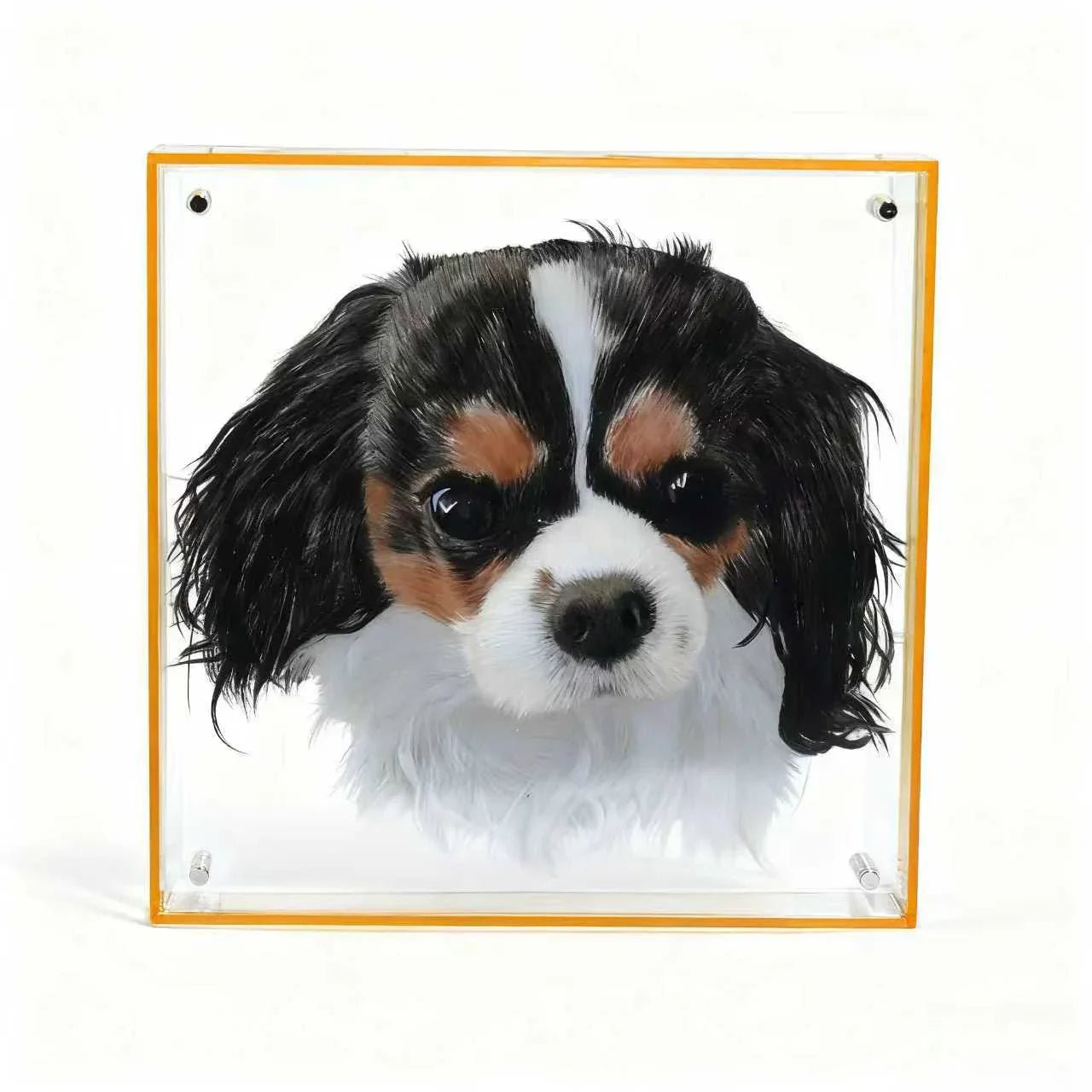Hand - painted layered glass pet memorial photo frame - Frameza Artworks