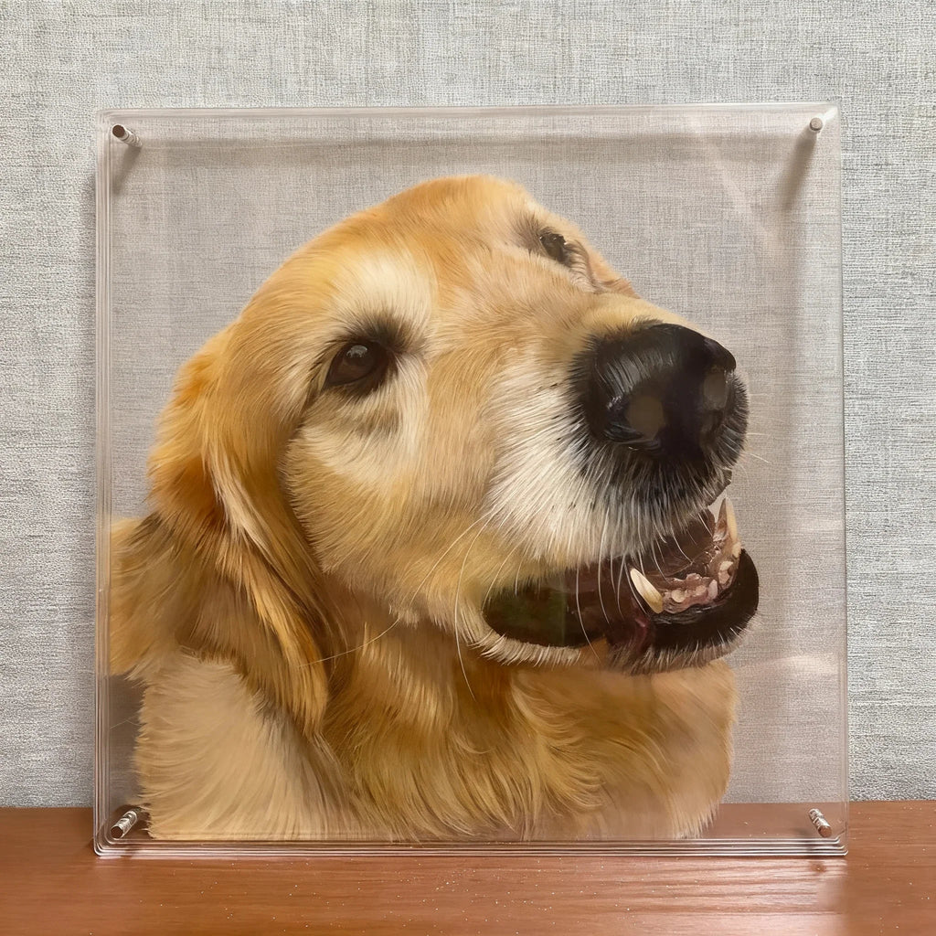 Hand - painted layered glass pet memorial photo frame - Frameza Artworks