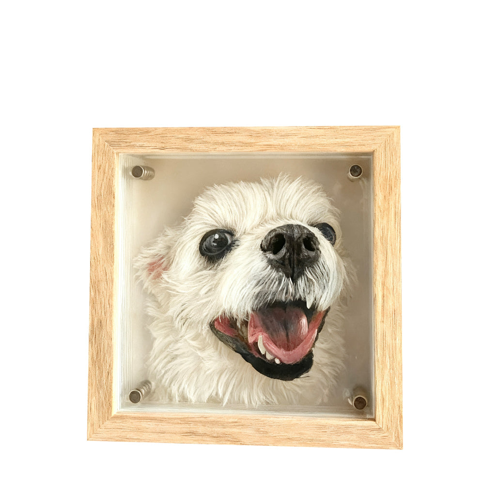 Personalized 3D Glass Art Compact Commemorative Gifts - Frameza Artworks