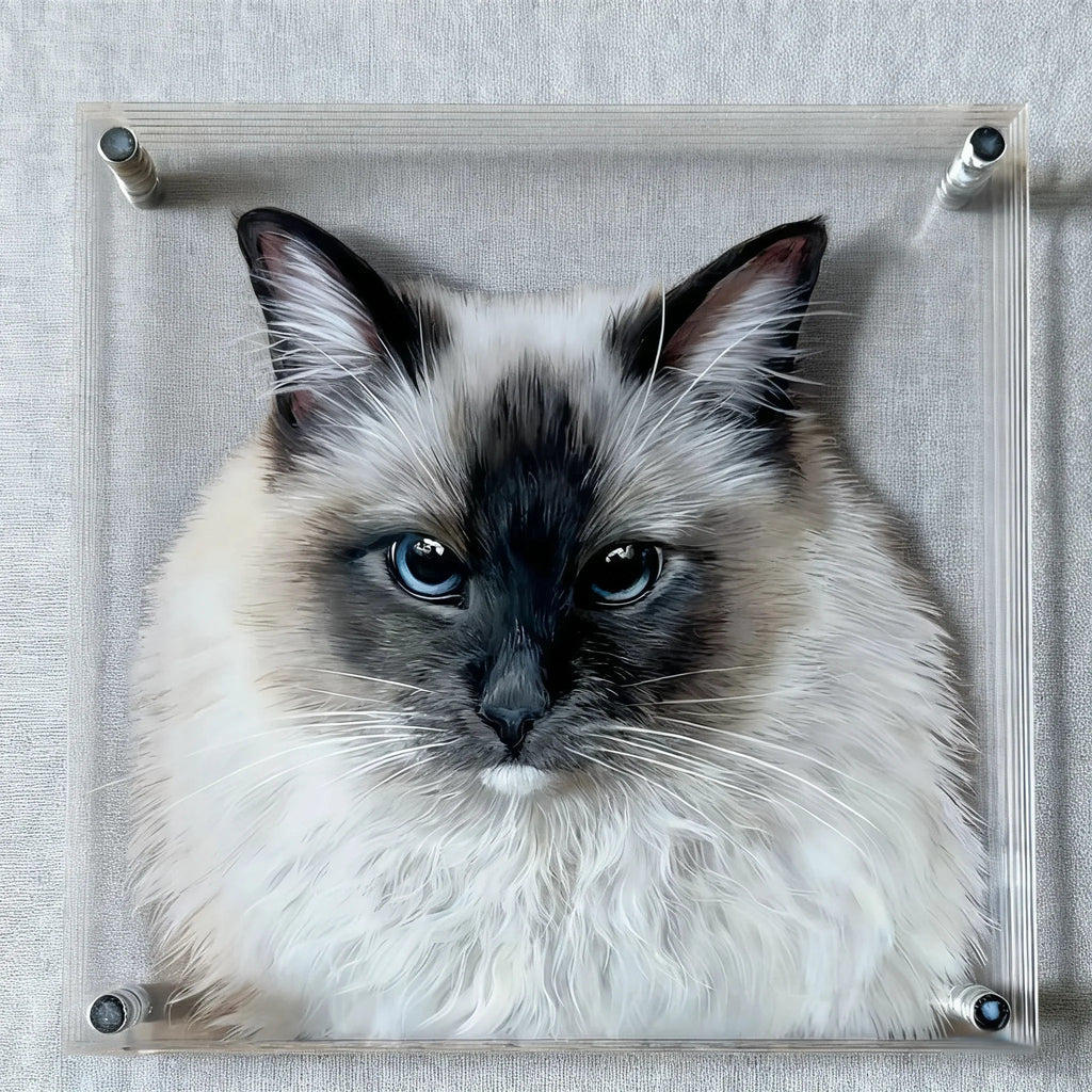 Personalized 3D Glass Art Compact Commemorative Gifts - Frameza Artworks