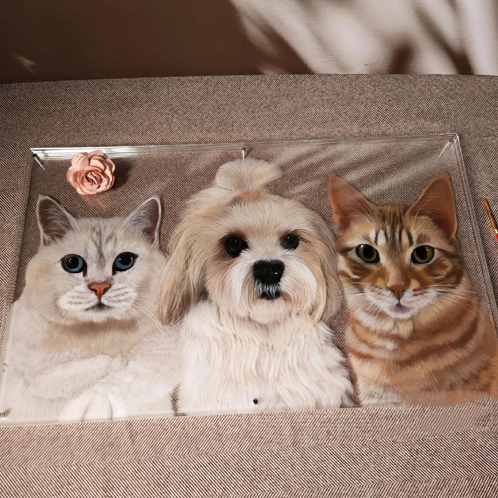 Pet Acrylic Triple Photo Frame - Frameza Artworks