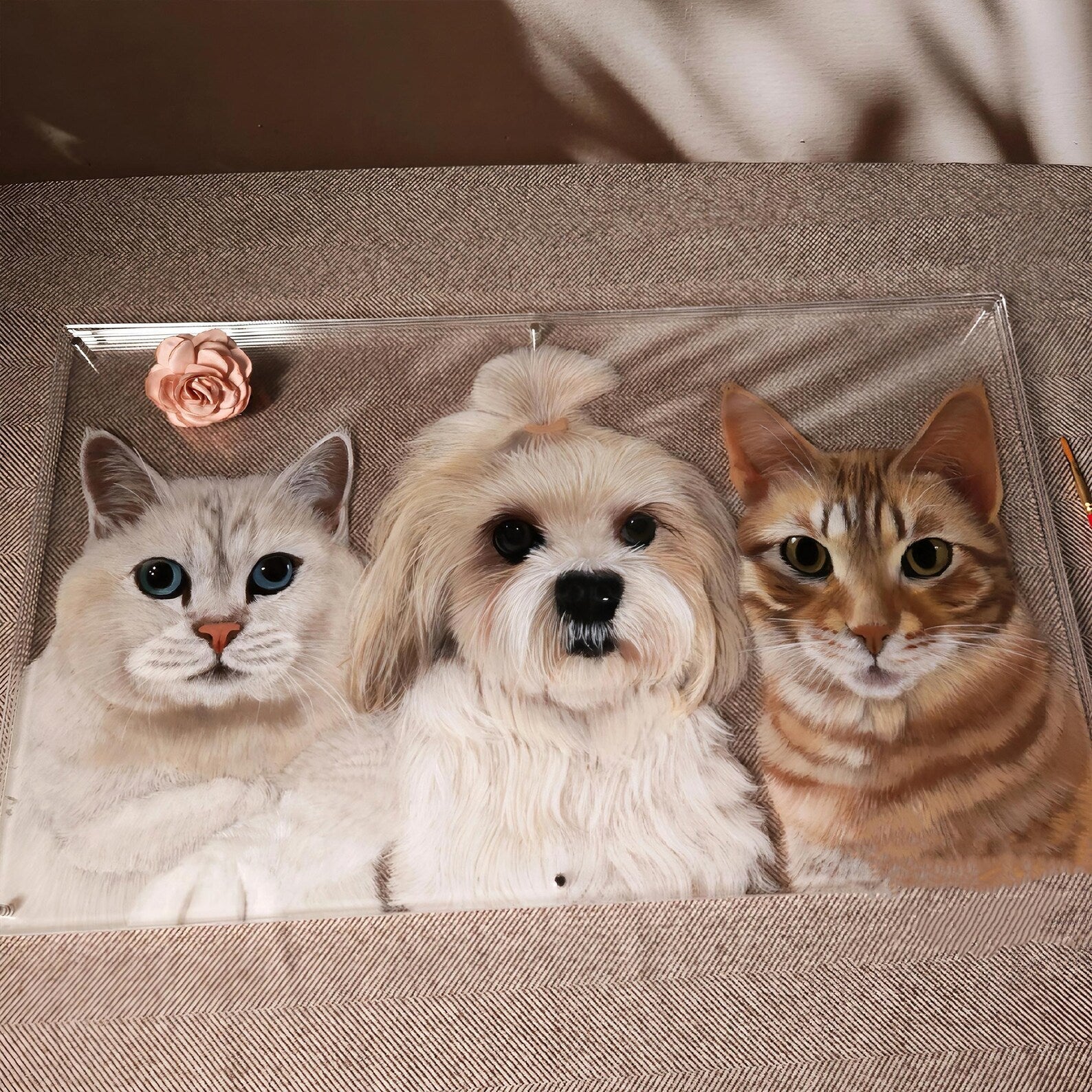 Pet Acrylic Triple Photo Frame - Frameza Artworks