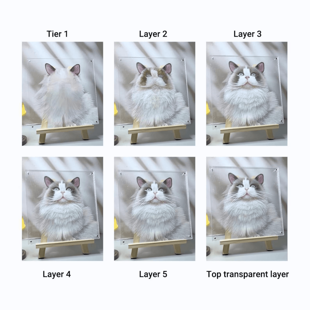 Pet Acrylic Triple Photo Frame - Frameza Artworks