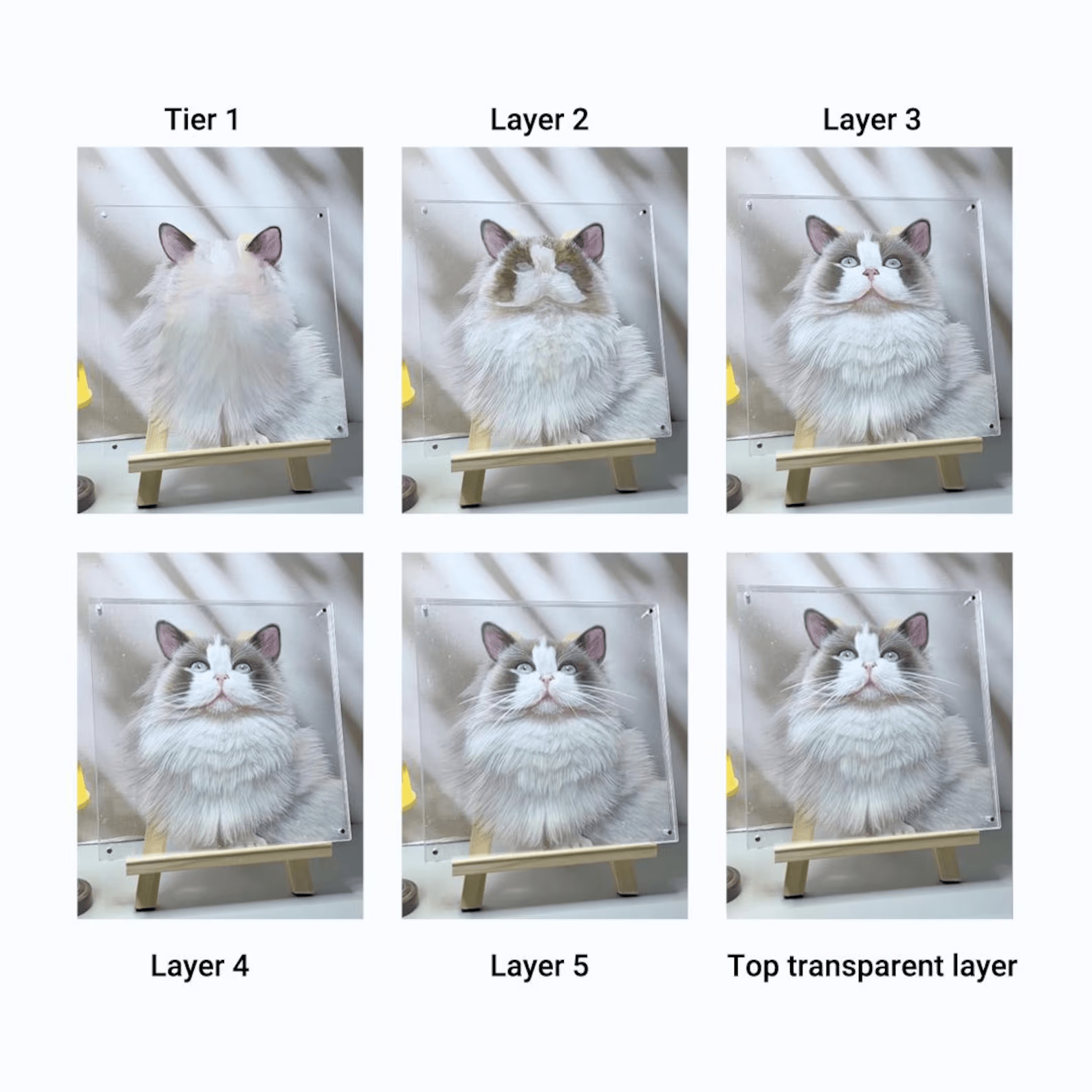 Pet Acrylic Triple Photo Frame - Frameza Artworks